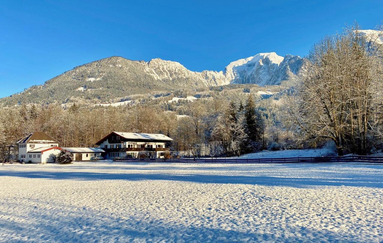 Fewo Schneewinkllehen Шенау-ам-Кенігсзе Екстер'єр фото